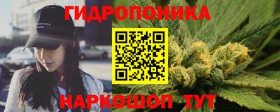 эйфоретик Гусь-Хрустальный